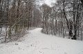 IMG_8301