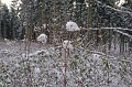 IMG_8310