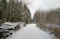 IMG_8314