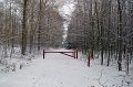 IMG_8316