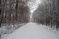 IMG_8318