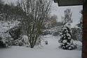 IMG_1856