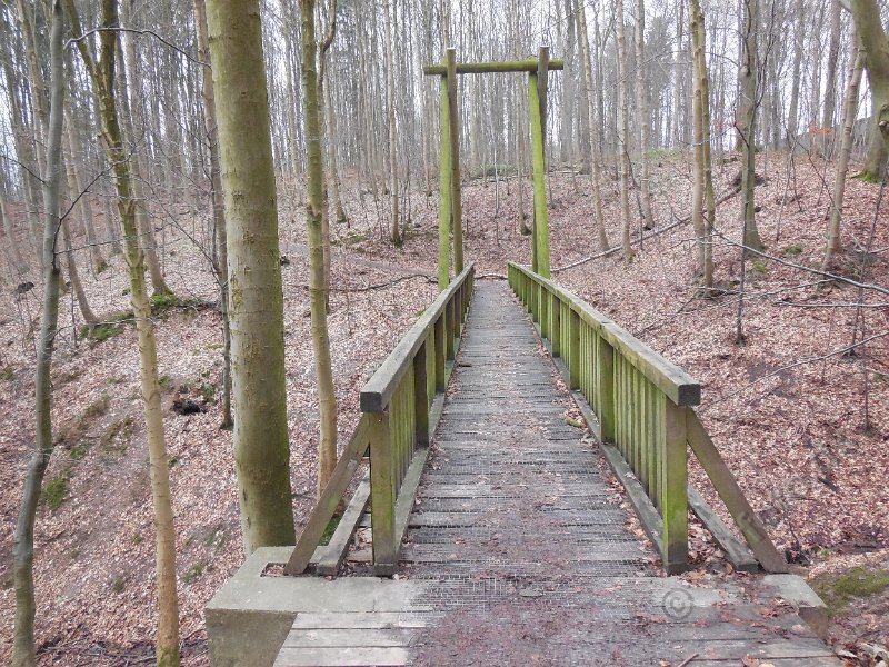 DSCN2101.JPG