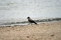IMG_6270
