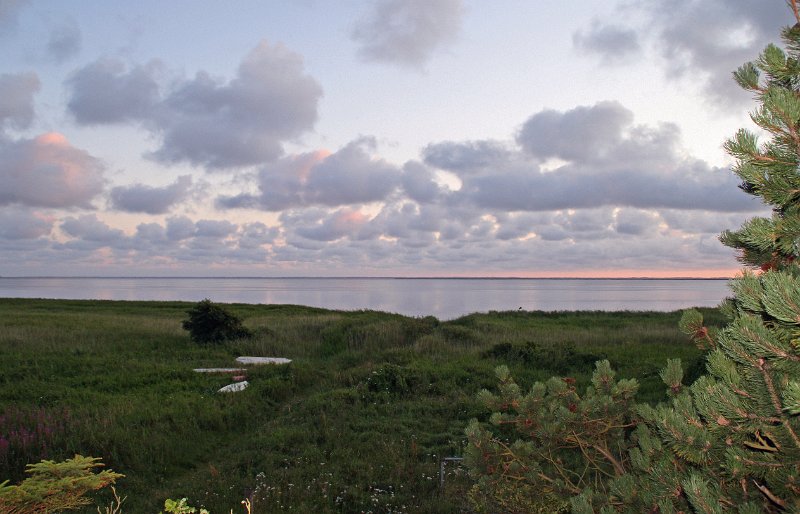 IMG_6211.JPG - Aften stemning ved Ringkøbing fjord