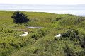 IMG_6178