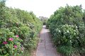 IMG_3340
