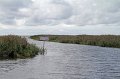 IMG_3347