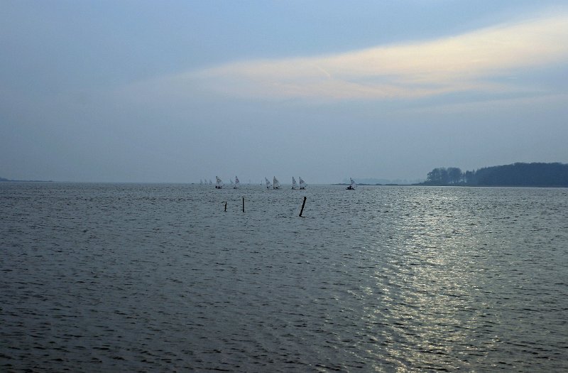 IMG_2982.JPG