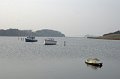 IMG_2958