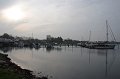 IMG_2960