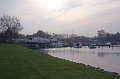 IMG_2965