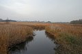 IMG_2974