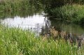 IMG_4808