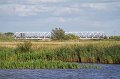 IMG_5438