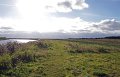 IMG_5463
