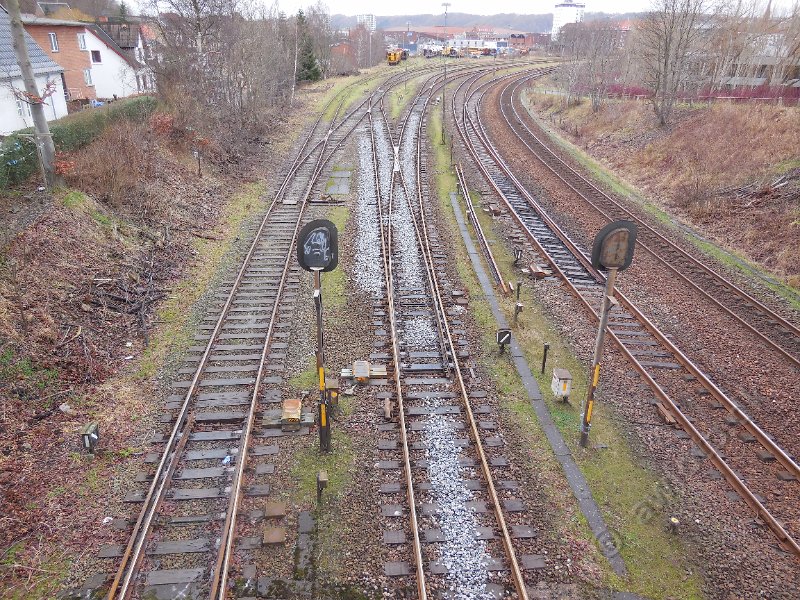 DSCN0405.JPG