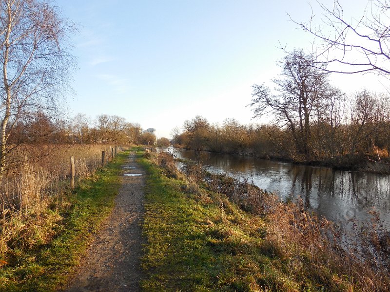 DSCN0414.JPG
