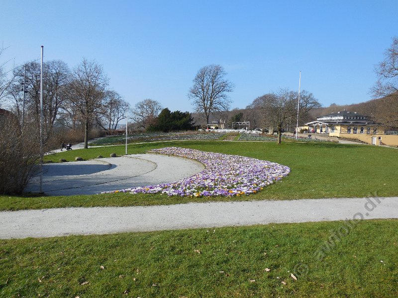 DSCN0578.JPG