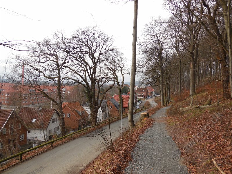 DSCN2105.JPG