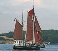 IMG_1546
