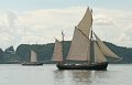 IMG_1551
