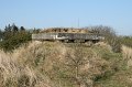 IMG_1421