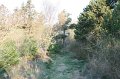 IMG_1448