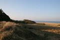 IMG_1451