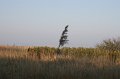 IMG_1452