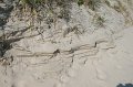 IMG_1467