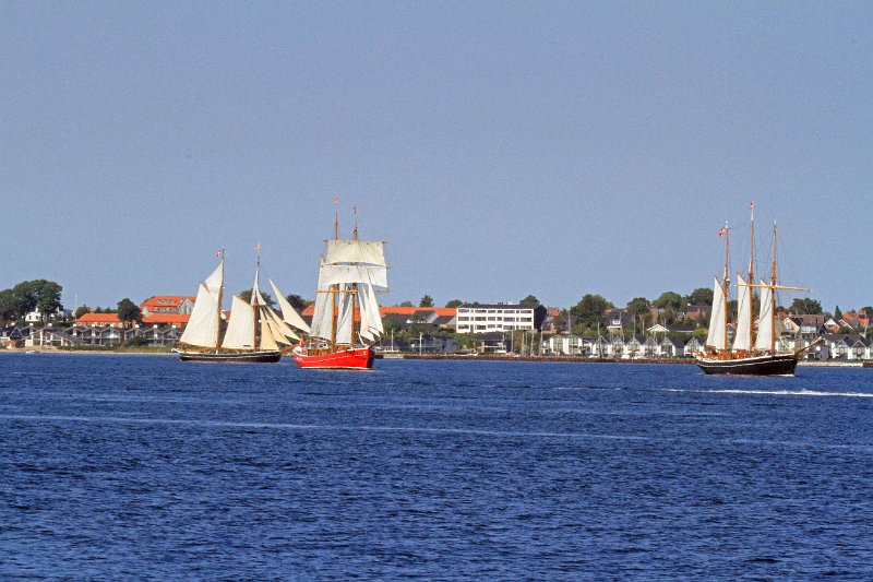 IMG_7509.JPG
