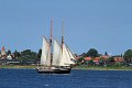 IMG_7415