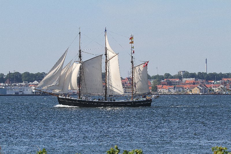 IMG_6388.JPG