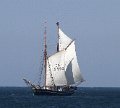 IMG_6378